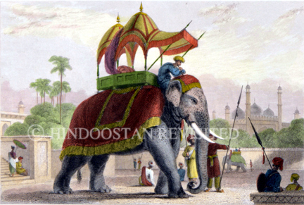 /data/Original Prints/Miscellaneous/A CAPARISONED ELEPHANT.jpg